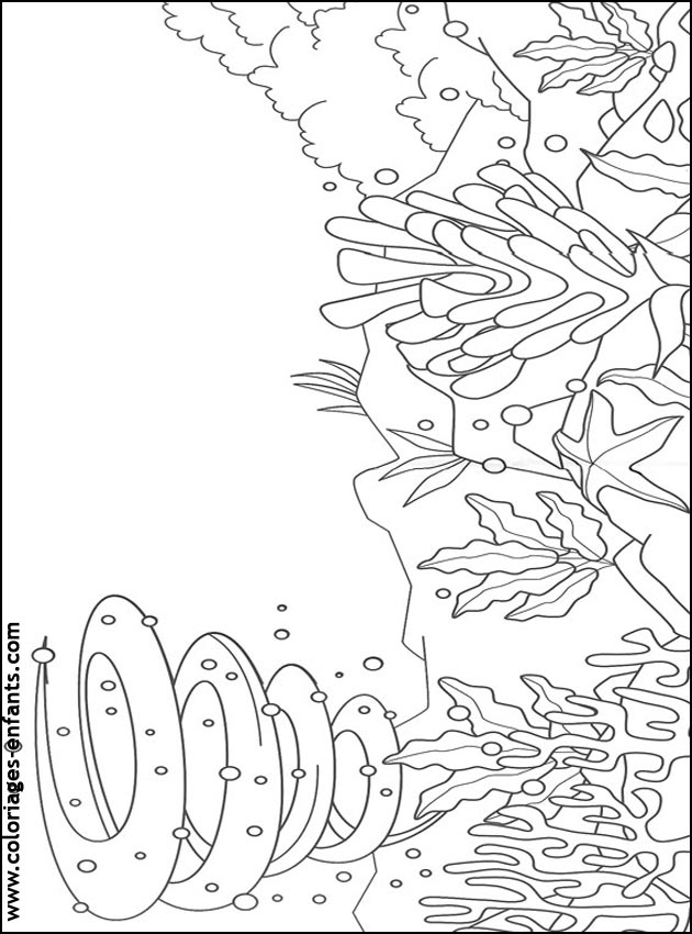 Les coloriages de la mer de coloriages-enfants.com