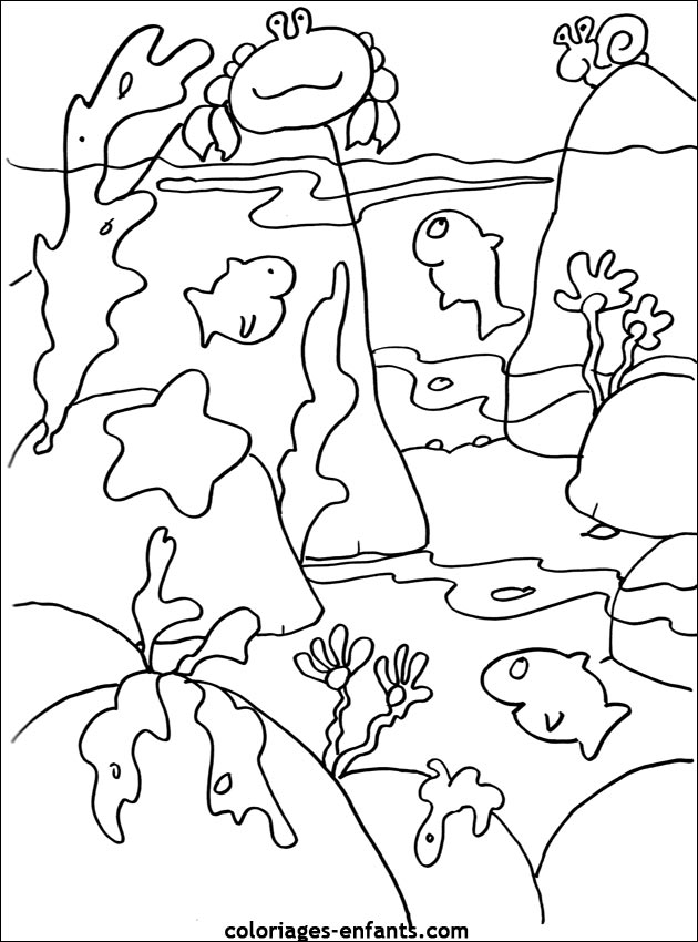 Les coloriages de la mer de coloriages-enfants.com