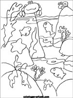 Coloriages de mer