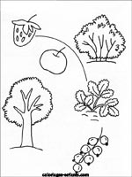 jeux d'arbres