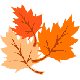Les coloriages de feuilles
