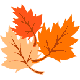 Les gifs anims de feuilles