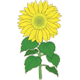 Les gifs anims de fleurs