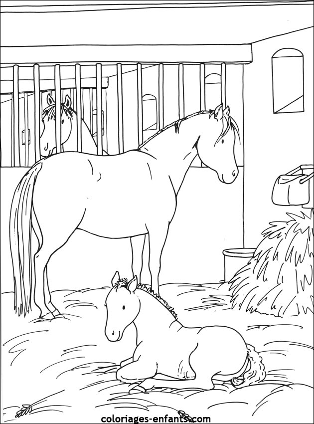 Les coloriages de equitation de coloriages-enfants.com