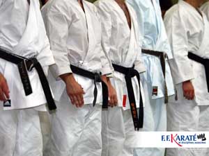 fond d'écran de karate