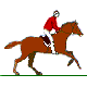Coloriages d'équitation