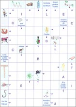 Mots fl&eacute;ch&eacute;s &agrave; imprimer