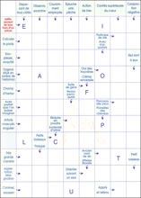 Mots fl&eacute;ch&eacute;s &agrave; imprimer