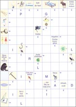 Mots fl&eacute;ch&eacute;s &agrave; imprimer