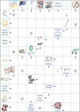 Mots fl&eacute;ch&eacute;s &agrave; imprimer