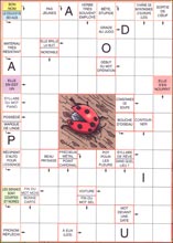 Mots fl&eacute;ch&eacute;s &agrave; imprimer