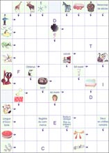 Mots fl&eacute;ch&eacute;s &agrave; imprimer