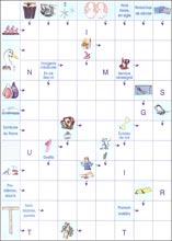 Mots fl&eacute;ch&eacute;s &agrave; imprimer