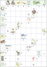 Mots fl&eacute;ch&eacute;s &agrave; imprimer