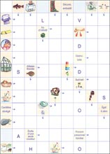 Mots fl&eacute;ch&eacute;s &agrave; imprimer