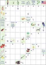 Mots fl&eacute;ch&eacute;s &agrave; imprimer