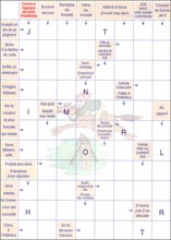 Mots fl&eacute;ch&eacute;s &agrave; imprimer