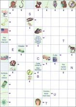 Mots fl&eacute;ch&eacute;s &agrave; imprimer