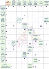 Mots fl&eacute;ch&eacute;s &agrave; imprimer