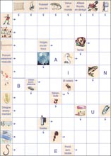 Mots fl&eacute;ch&eacute;s &agrave; imprimer