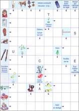 Mots fl&eacute;ch&eacute;s &agrave; imprimer