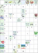 Mots fl&eacute;ch&eacute;s &agrave; imprimer