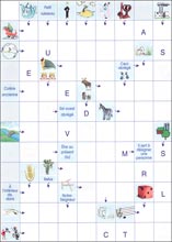 Mots fl&eacute;ch&eacute;s &agrave; imprimer