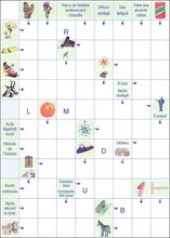 Mots fl&eacute;ch&eacute;s &agrave; imprimer