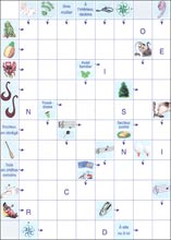 Mots fl&eacute;ch&eacute;s &agrave; imprimer