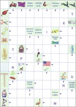 Mots fl&eacute;ch&eacute;s &agrave; imprimer