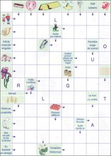 Mots fl&eacute;ch&eacute;s &agrave; imprimer