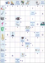 Mots fl&eacute;ch&eacute;s &agrave; imprimer