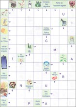 Mots fl&eacute;ch&eacute;s &agrave; imprimer