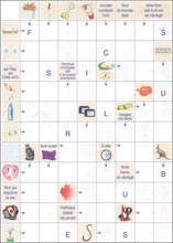 Mots fl&eacute;ch&eacute;s &agrave; imprimer