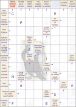 Mots fl&eacute;ch&eacute;s &agrave; imprimer