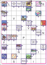 Mots fl&eacute;ch&eacute;s &agrave; imprimer