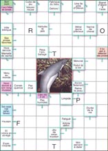 Mots fl&eacute;ch&eacute;s &agrave; imprimer