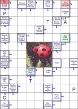 Mots fl&eacute;ch&eacute;s &agrave; imprimer