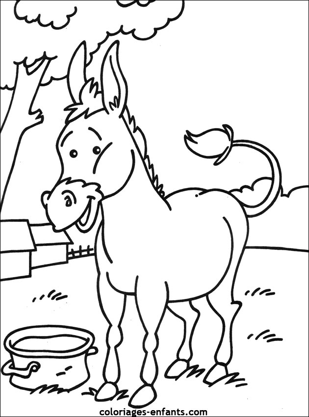 coloriage d'ne gratuit