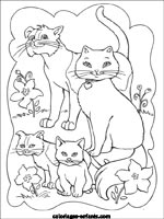 Coloriages de chats