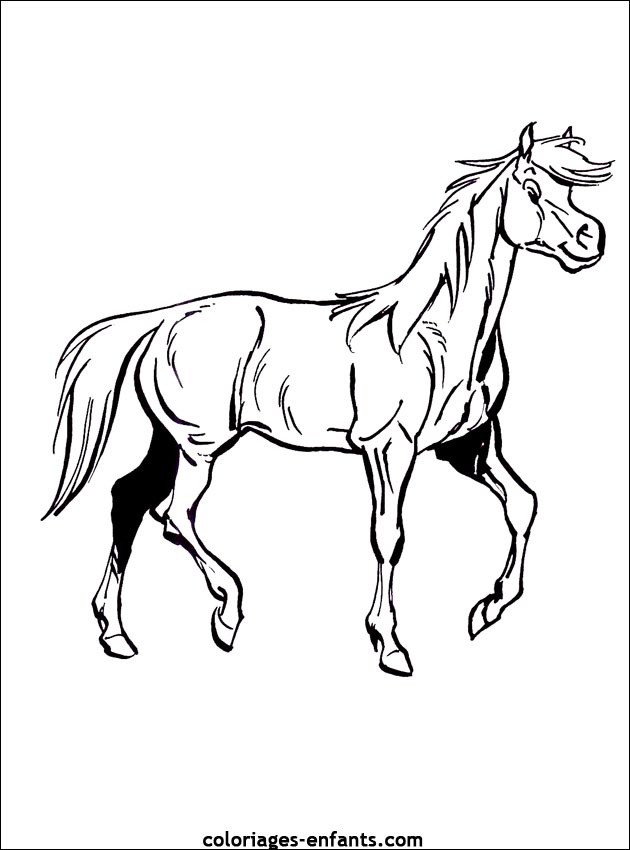 coloriages de chevaux pour enfants