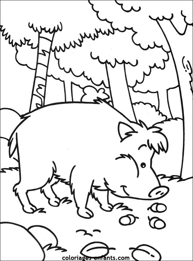 coloriage de cochon pour les enfants