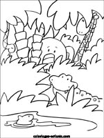 Coloriages de crocodiles