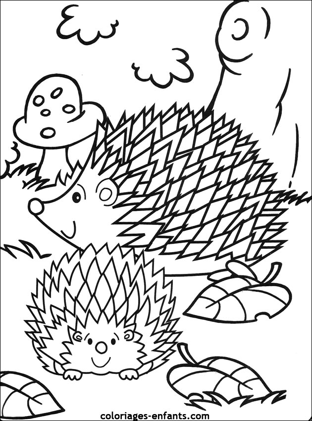 coloriage d'animaux  imprimer pour les enfants