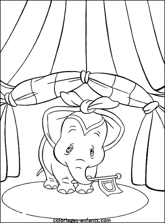 coloriage d'�l�phant - dessin � colorier d'animaux