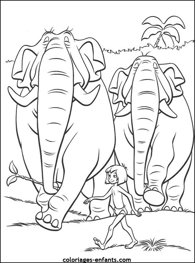coloriage d'�l�phant - dessin � colorier d'animaux