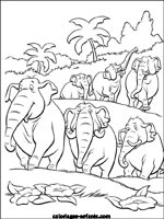 Coloriages d'éléphants