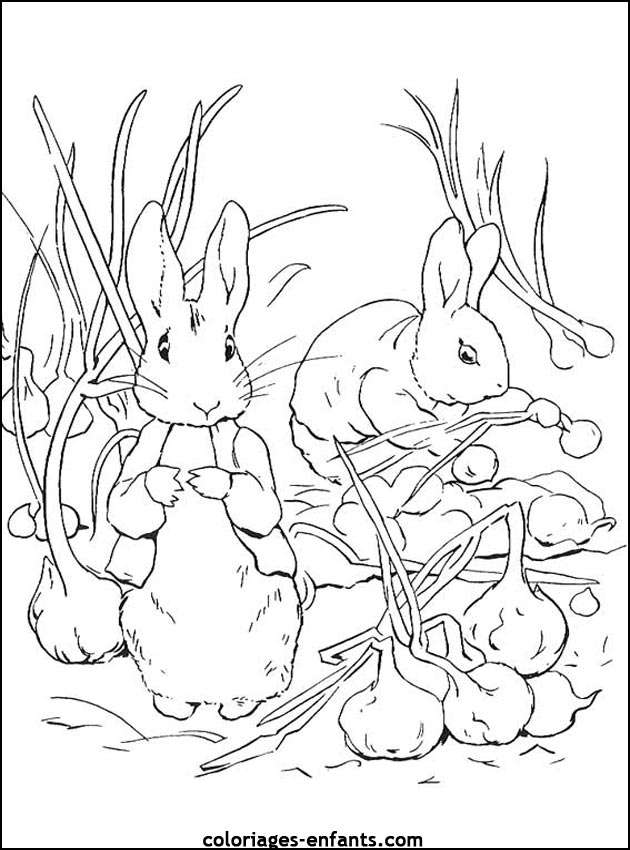 coloriage d'animaux - dessin de lapin  imprimer