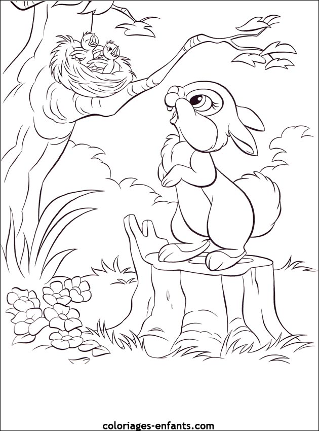 coloriage d'animaux - dessin de lapin  imprimer