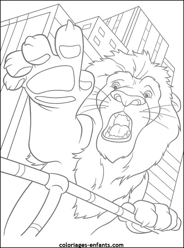 Coloriages de lions